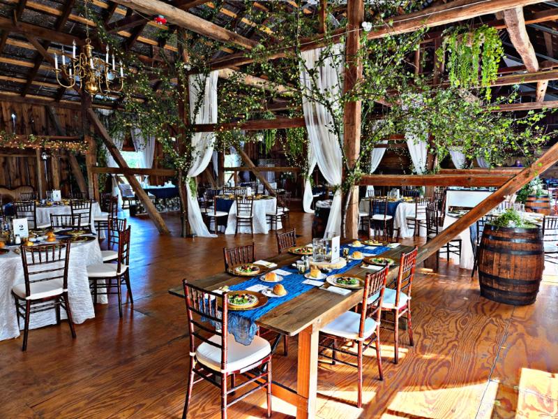 Close-up of a freshly prepared Italian dish by LaFratte's